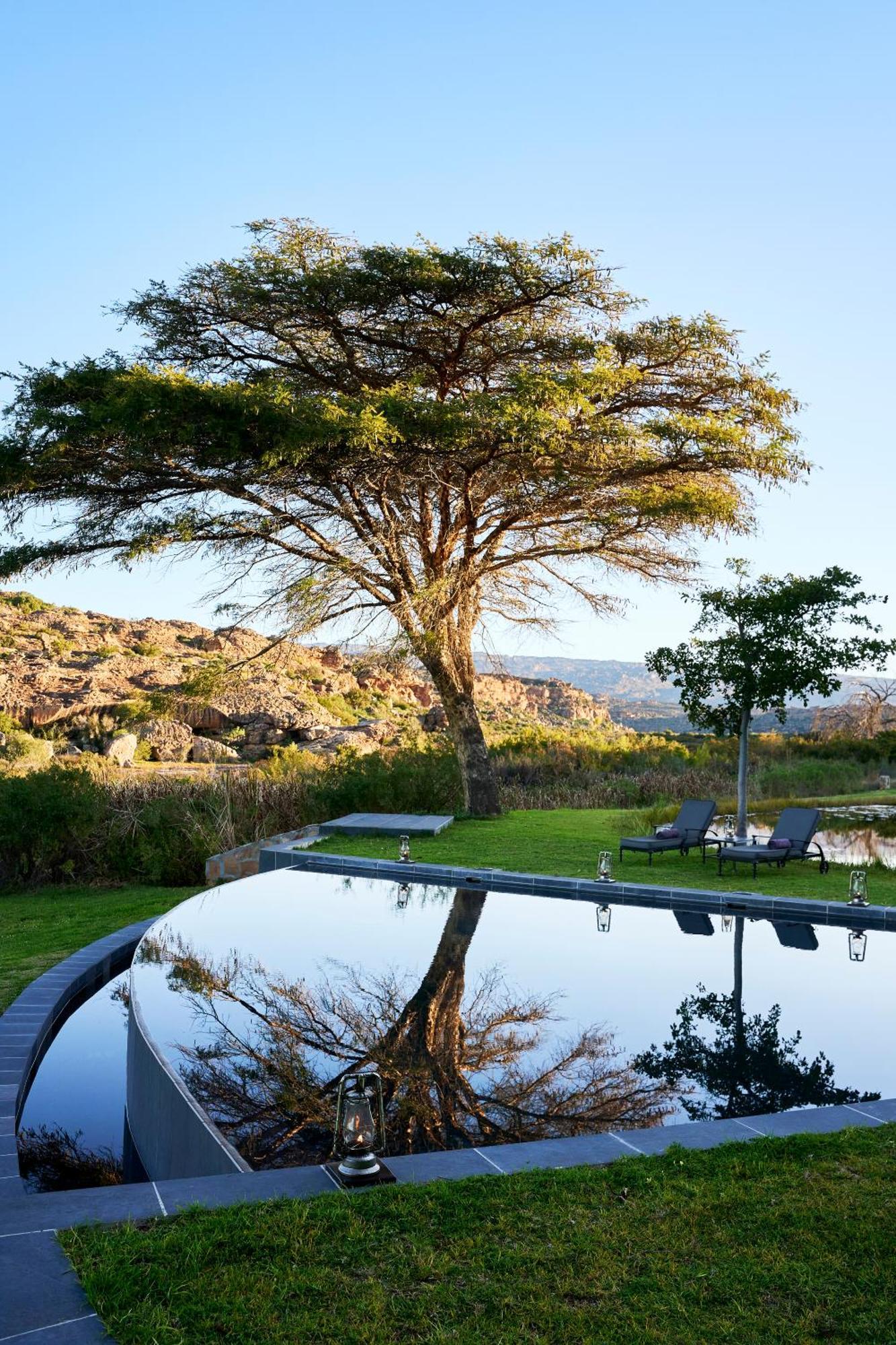 Hotel Bushmans Kloof Wilderness Reserve&wellness Retreat