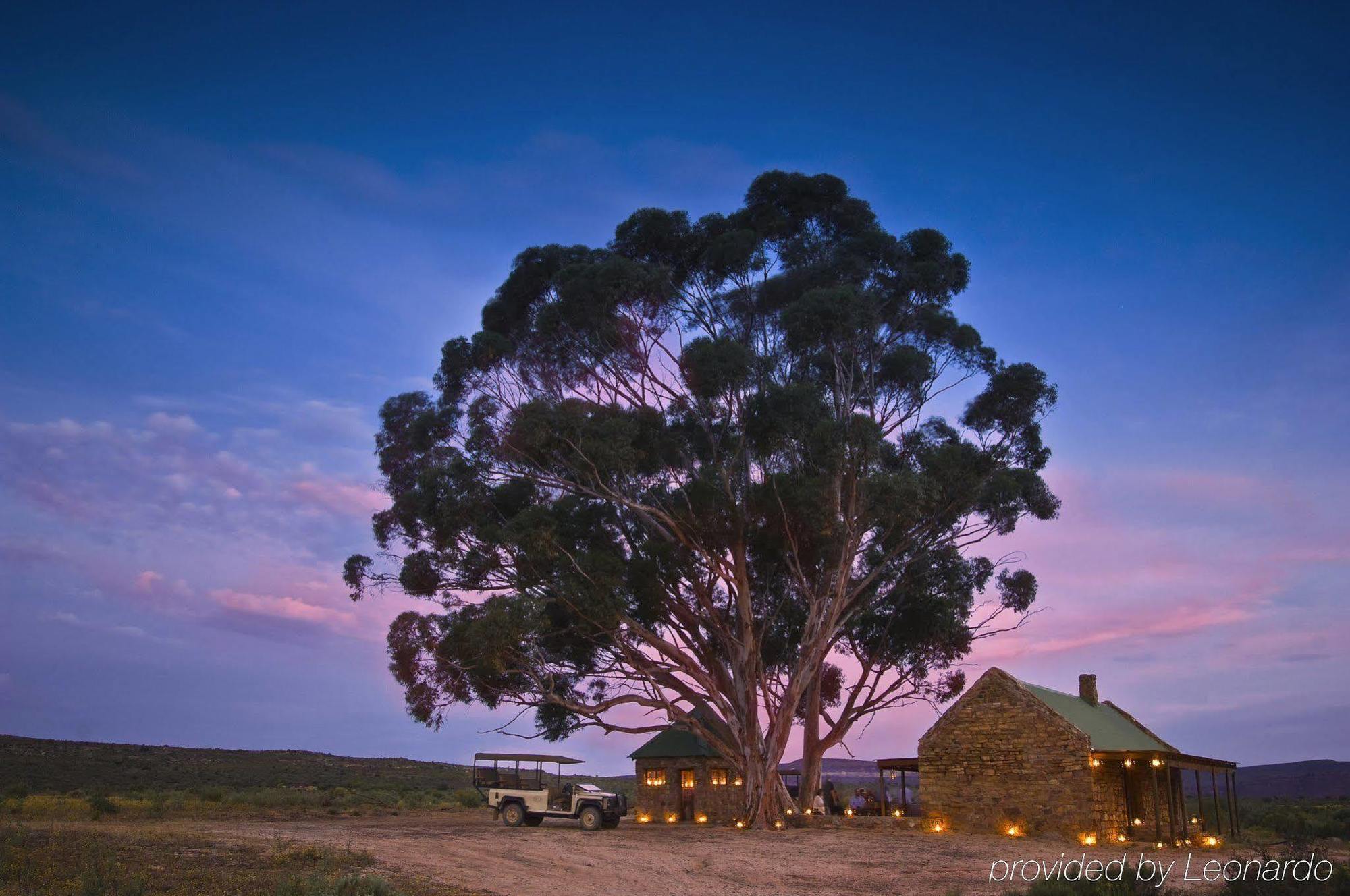 Bushmans Kloof Wilderness Reserve&wellness Retreat